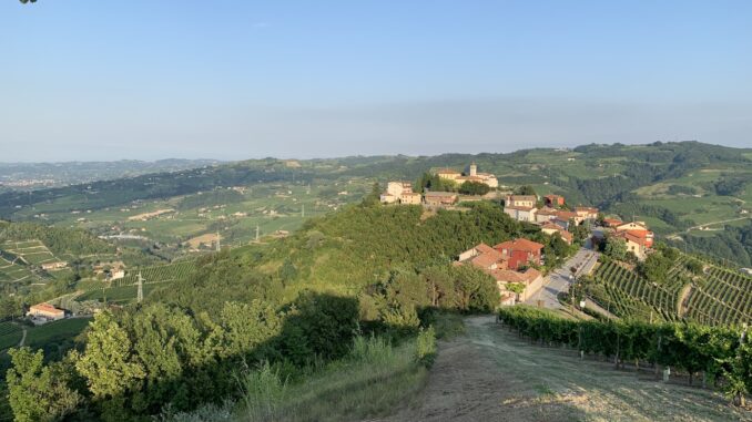 Una passeggiata tra arte, vigne e balocchi a Camo