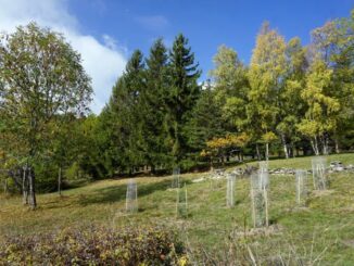 Parte da Oulx l'orto sperimentale di Luca Mercalli per l'adattamento ai cambiamenti climatici