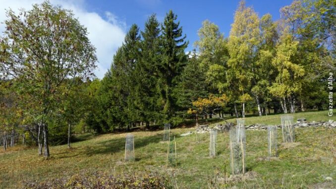 Oulx_Orto-Frutteto Solidale_P&G Parte da Oulx l'orto sperimentale di Luca Mercalli per l'adattamento ai cambiamenti climatici