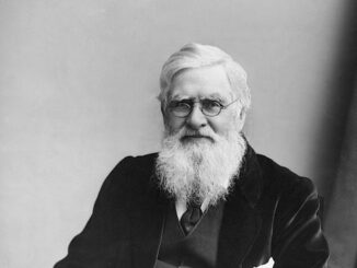 Alla Notte dei musei di Bra si parlerà di Alfred Russel Wallace