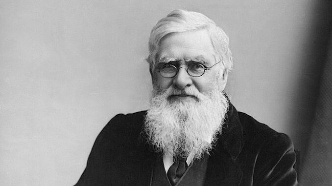 Alla Notte dei musei di Bra si parlerà di Alfred Russel Wallace