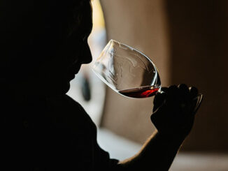 Il Piemonte investe 2 milioni per formare i nuovi "professionisti del vino"