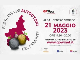 Quinta edizione della Festa del Vino di Go Wine, che celebra  i vini autoctoni del Piemonte raccontati dai loro produttori