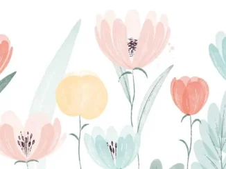 Estetisti e parrucchieri di corso Langhe e corso Italia possono restare aperti venerdì 2 giugno