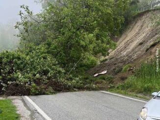 Alberi caduti: chiuso un tratto di strada tra Monforte e Gallo