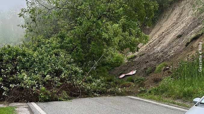 Alberi caduti: chiuso un tratto di strada tra Monforte e Gallo