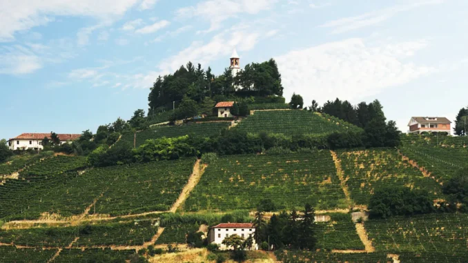 La Festa del vino Lions, una serata benefica per il santuario di Moncucco
