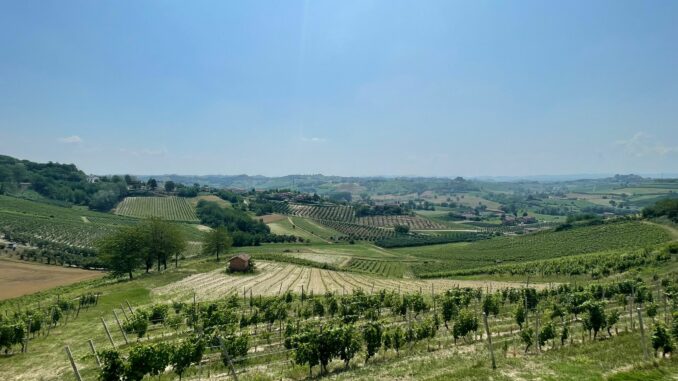 Nocciola e vini del Monferrato protagonisti a "Casa Hernanes" nell'evento targato "Élite Mediterranea" 6