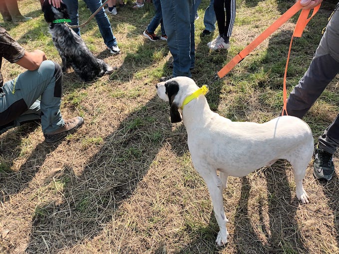 Castelletto Uzzone: giornata didattica in natura per i bambini con i cacciatori dell’Atc Cn5 Cortemilia 8