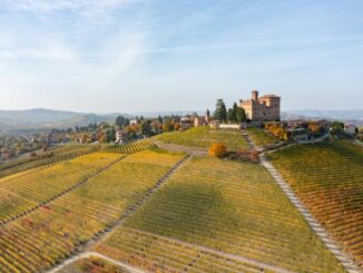 L'Omaggio “Langhe-Roero e Monferrato: Onde di bellezza e geometrie coltive nei paesaggi e nei paesi del vino”
