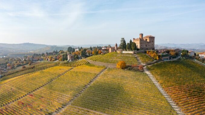 L'Omaggio “Langhe-Roero e Monferrato: Onde di bellezza e geometrie coltive nei paesaggi e nei paesi del vino”