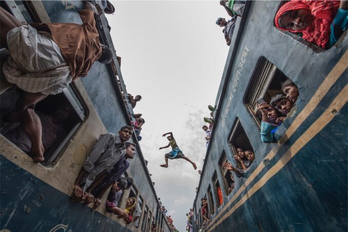 Oasis, le più belle foto di animali e natura del mondo si sfidano a Bra 1