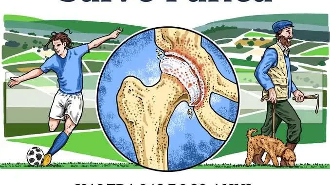 Prevenzione all’Asl Cn2: a luglio le visite di valutazione ortopedica delle anche