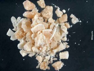 Arrestata a Cuneo con 260 dosi di crack