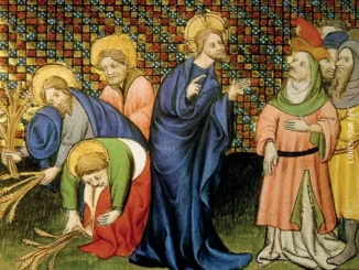 Un regno dove si semina senza neanche raccogliere