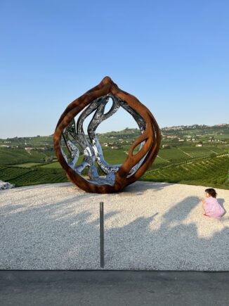 La nocciola di Samuel Di Blasi, l'omaggio della famiglia Sebaste alle Langhe (FOTO E VIDEO) 1