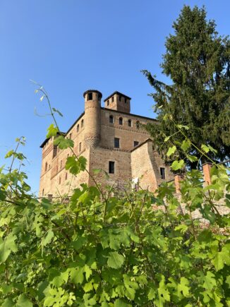 castello di Grinzane