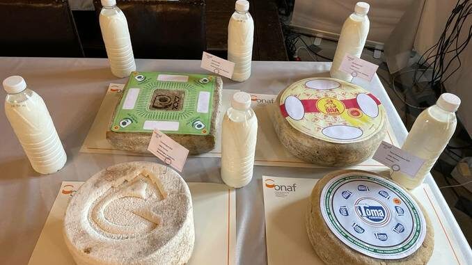 Oltre 200 formaggi al concorso regionale promosso dall'Onaf