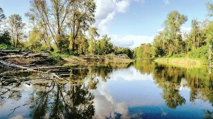 Fondo.Toce NON PUBBLICARE Itinerari. Verbania, Fondo Toce e il lago
