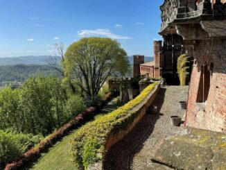 Baratuciat, un vitigno in cammino tra Valsusa, Langhe e Monferrato
