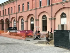 MADDALENA la grande incompiuta 2