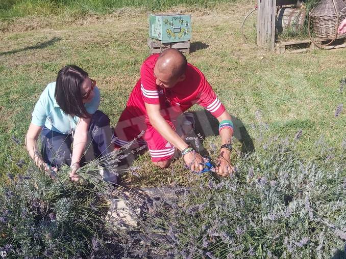 Grande successo per la festa della lavanda di Angeli di ninfa 1