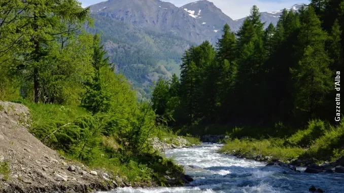 In Val di Susa Rainbow4Africa ha soccorso oltre cento migranti sulle montagne