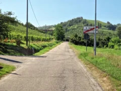 Al via i lavori per l’allargamento della strada comunale di San Rocco Seno d’Elvio 2