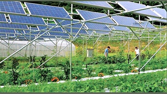 Fotovoltaico, Coldiretti Cuneo: stop speculazioni, bene la salvaguardia regionale delle aree agricole