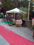 Festa della vendemmia a Fontanafredda con cibo e musica 4