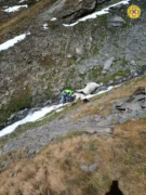 Bovini morti in alpeggio per il freddo, il Soccorso alpino collabora al recupero delle carcasse 1