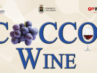 “Cocco… Wine 2023” a Cocconato d'Asti venerdì 1, sabato 2 e domenica 3 settembre