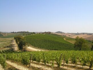 città del vino NO PUBB