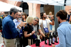 Enoturisti da tutto il mondo per la prima domenica di Festa del vino (FOTOGALLERY) 4