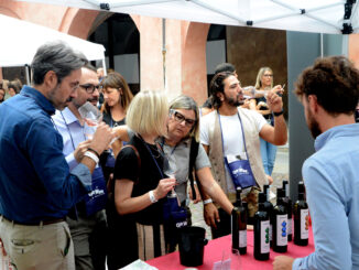 Enoturisti da tutto il mondo per la prima domenica di Festa del vino (FOTOGALLERY) 4