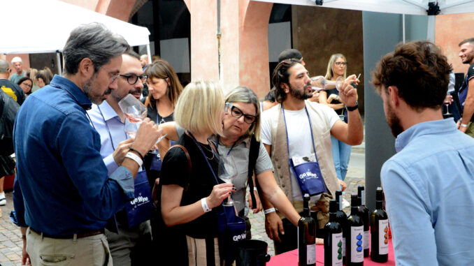 Enoturisti da tutto il mondo per la prima domenica di Festa del vino (FOTOGALLERY) 4