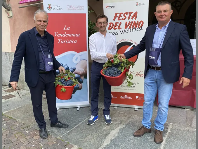 Turisti nella vigna urbana di Alba per sperimentare la vendemmia