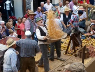 Festival delle sagre di Asti, ci sono anche le navette gratuite