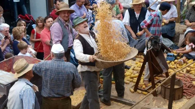 Festival delle sagre di Asti, ci sono anche le navette gratuite