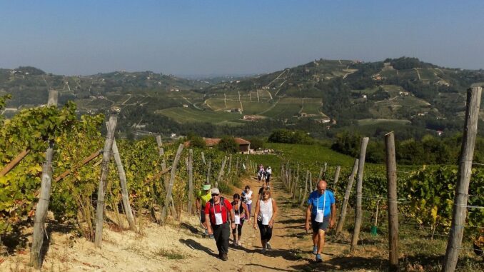 Camminata enogastronomica: su e giù per i sentieri pavesiani