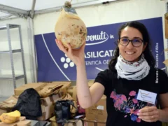 Il bilancio di Cheese e Slow food: cambiare la narrativa sui pastori per salvare i prati e costruire una prospettiva di sviluppo e rigenerazione 5