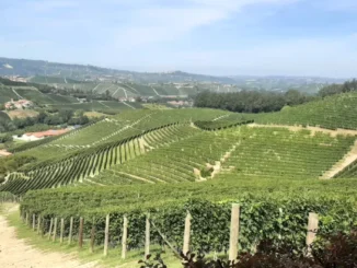 Rotary club Bra: pronti per il nuovo anno sociale