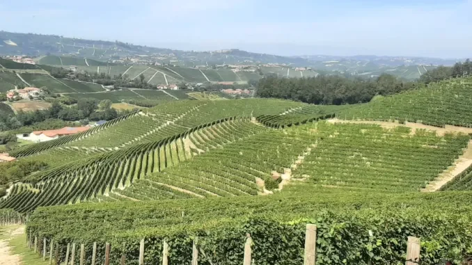 rotary bra-ascheri-serralunga panorama Rotary club Bra: pronti per il nuovo anno sociale