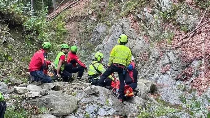 Troppi interventi nei boschi per soccorrere cercatori di funghi