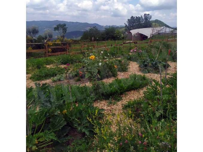L'alta Langa glocal è a Bergolo: giovedì la presentazione di progetti tra arte, sapori e agricoltura