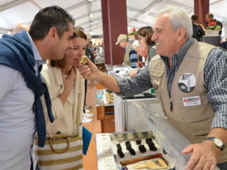 Fiera di Alba: pochi tartufi, è colpa del caldo