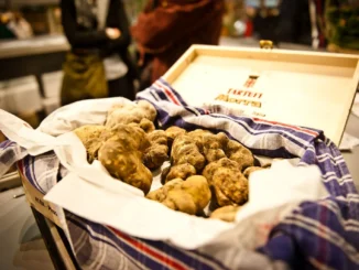 Guido Crosetto inaugura la Fiera del tartufo di Alba (IN AGGIORNAMENTO)