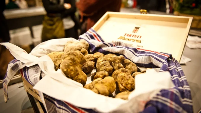 Guido Crosetto inaugura la Fiera del tartufo di Alba (IN AGGIORNAMENTO)