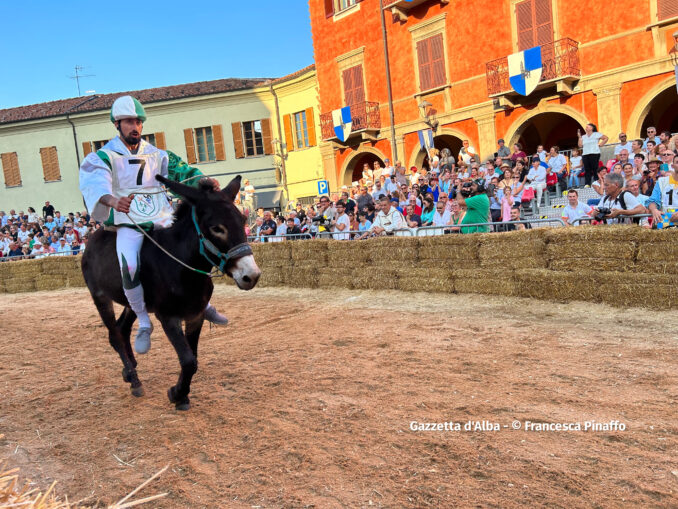 Palio degli asini 2023, la fotogallery  dei momenti più belli della corsa 4