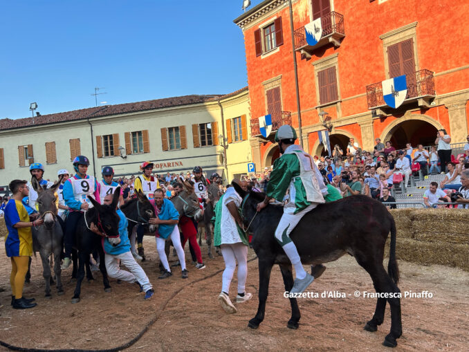 Palio degli asini 2023, la fotogallery  dei momenti più belli della corsa 7